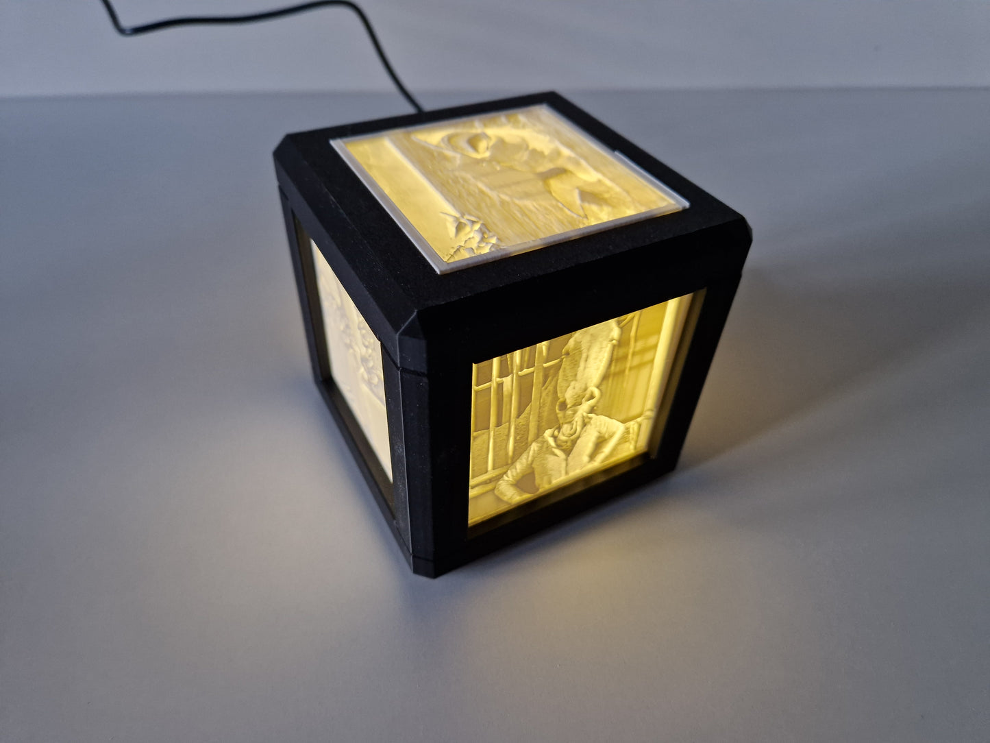 Litho lamp met 220 adapter