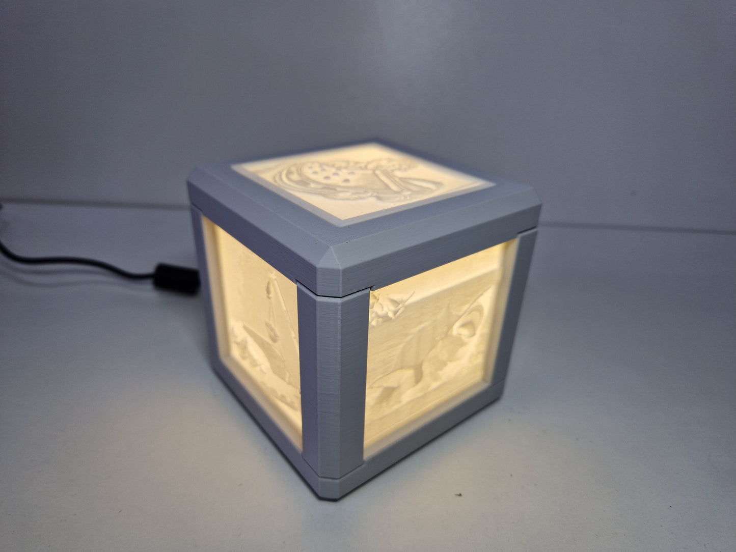 Litho lamp met 220 adapter